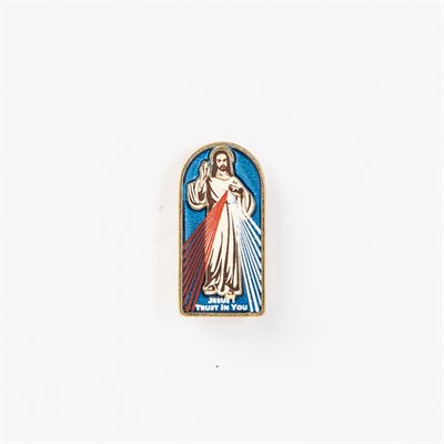 Divine Mercy Pin